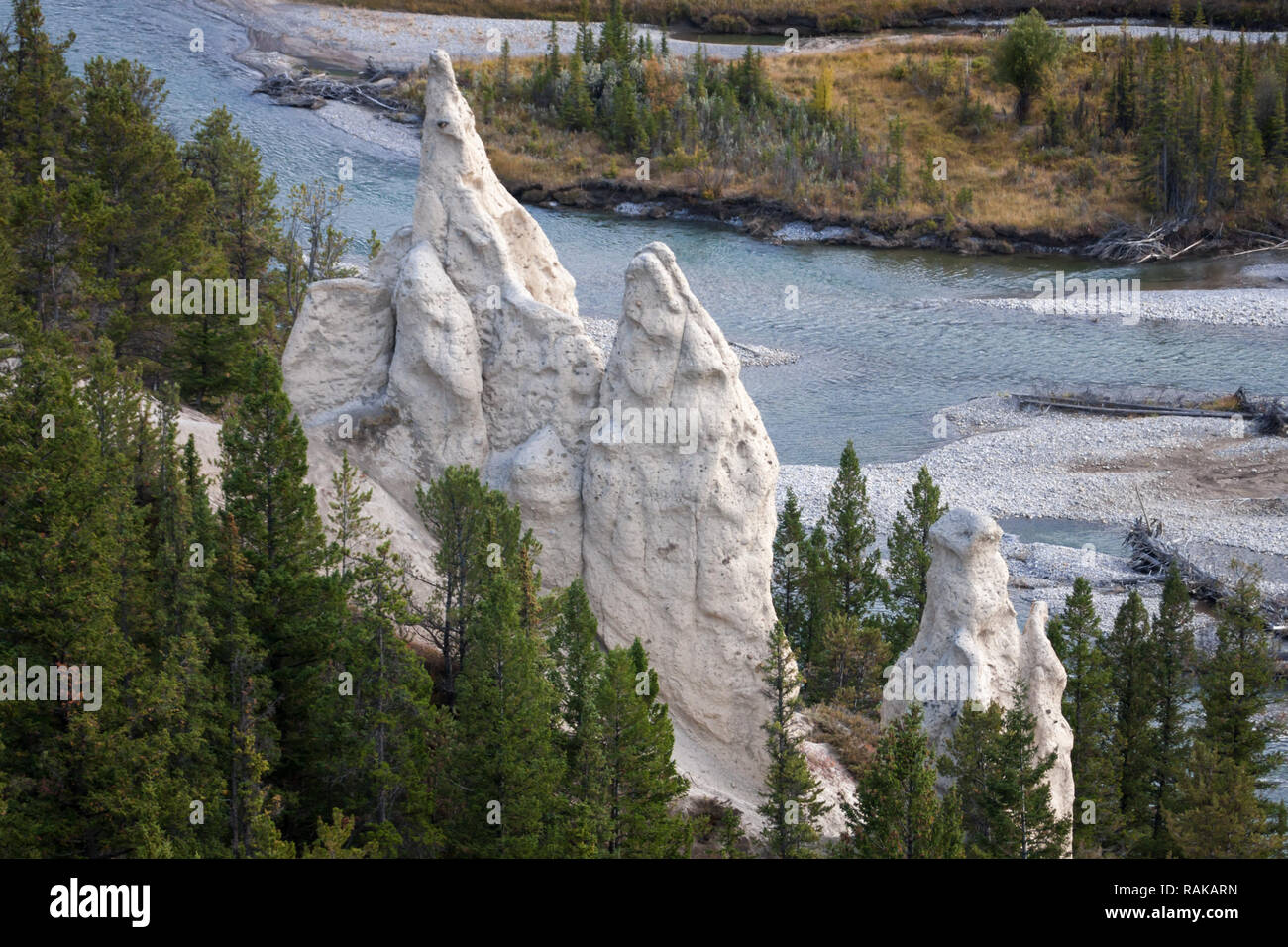 Hoodoos robuste et rivière, dans le parc national Banff, Alberta, Canada vu de la sentier de randonnée. Banque D'Images