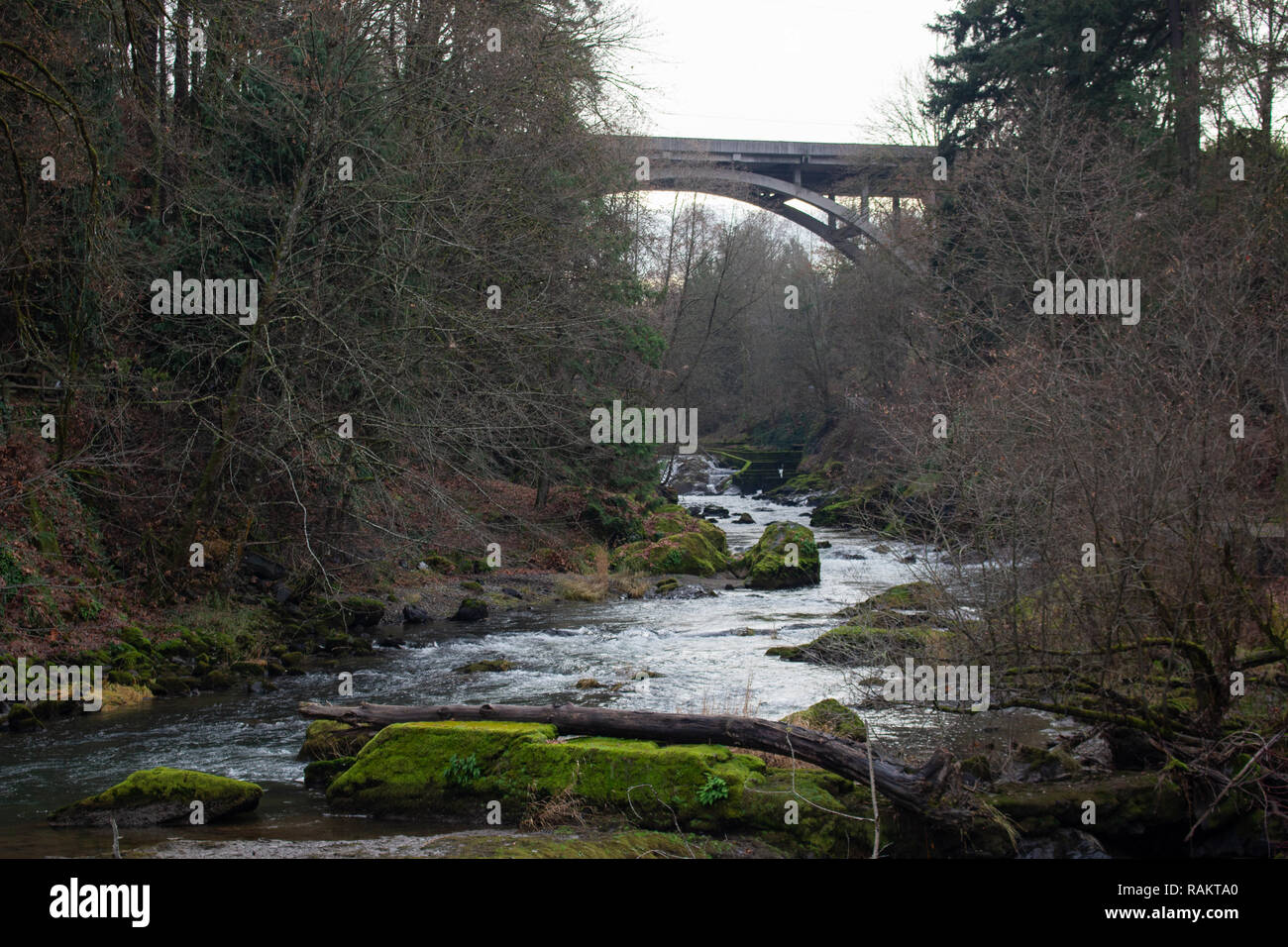 Tumwater Falls Banque D'Images