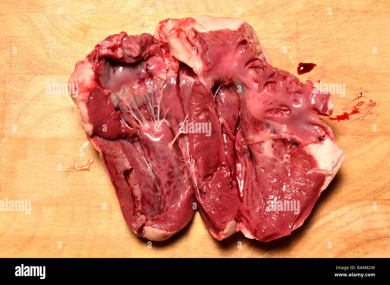 Le coeur d'agneau acheté dans un supermarché. 'Intérieur' heartstrings (tendons) Banque D'Images