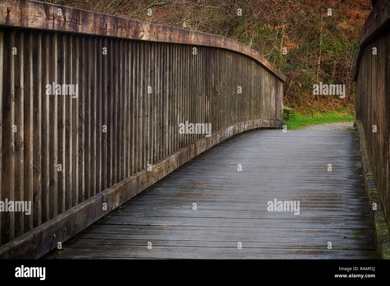 Vieux pont en bois des étangs Glyncorrwg Banque D'Images