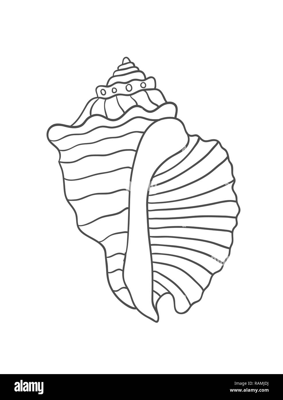 Sea Shell isolé sur fond blanc, vector illustration Illustration de Vecteur