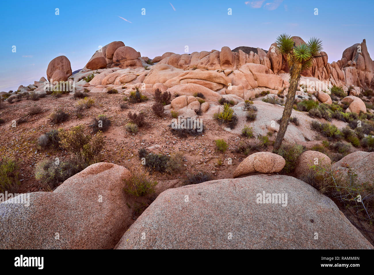 Le parc national Joshua Tree scenery au coucher du soleil, en Californie, aux États-Unis. Banque D'Images