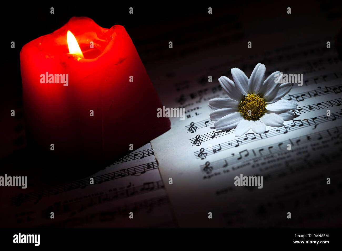 Daisy Fleurs Feuilles Notes de musique et la lumière des bougies Banque D'Images