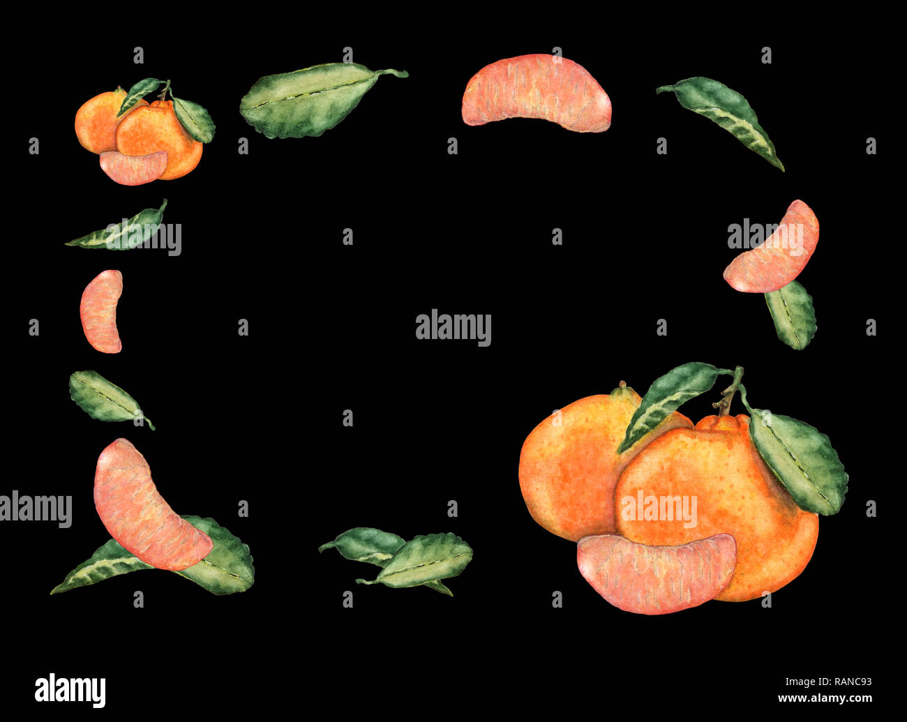 Aquarelle hand drawn mandarin fruits, coupes et feuilles. La mandarine frais sucré coloré pour invitation, cartes de vœux, de conception. Botanical illustr Banque D'Images