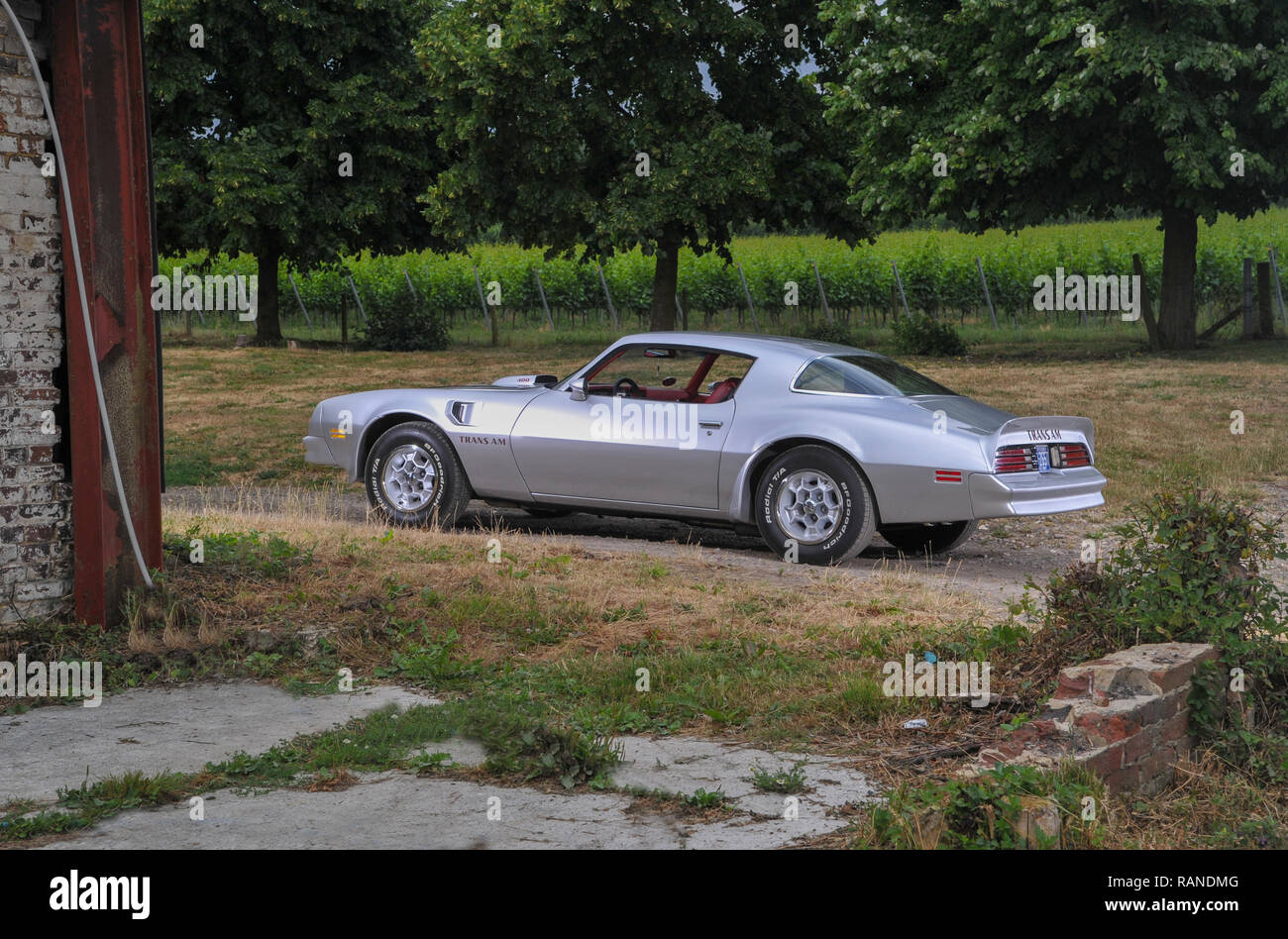 1976 Pontiac Trans Am American V8 muscle car Banque D'Images