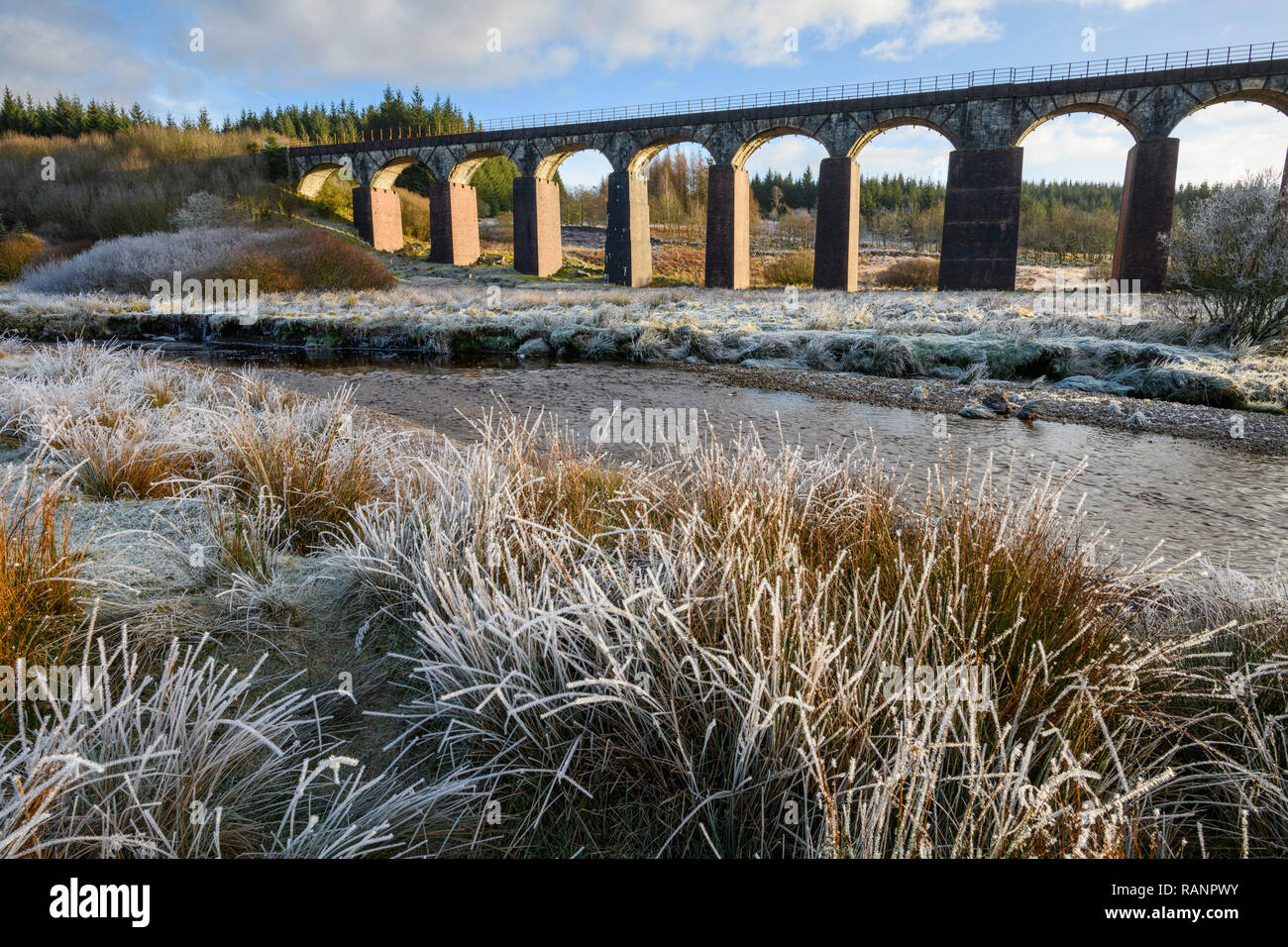 De l'eau grand viaduc de la flotte, près de Leeds, Dumfries et Galloway, Écosse Banque D'Images