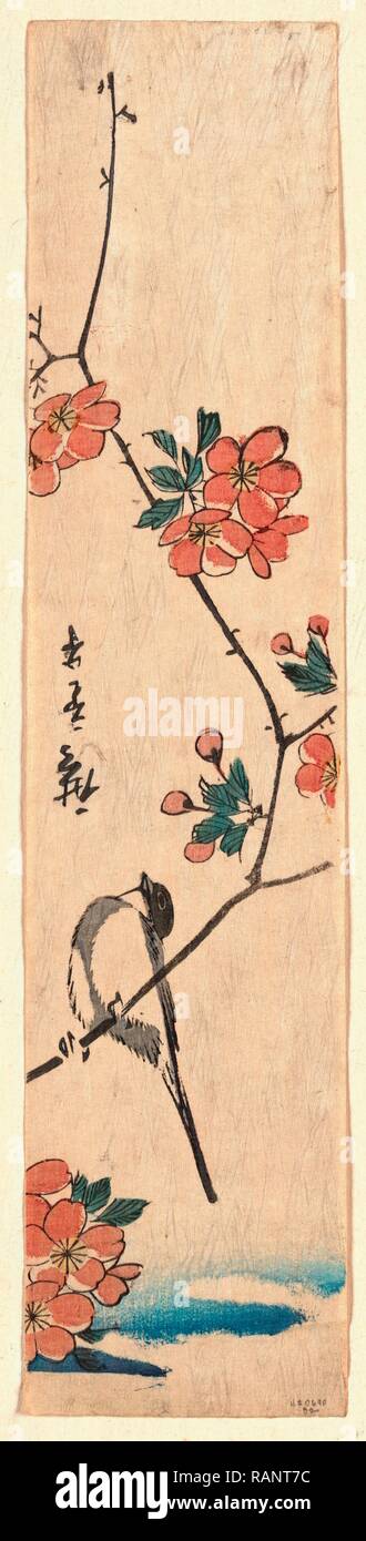 Kaido Ni Shokin, petit oiseau sur une branche de Kaidozakura. [Entre 1804 et 1844], 1 : Impression gravure sur bois, couleur, 33,1 x 7,2 repensé Banque D'Images