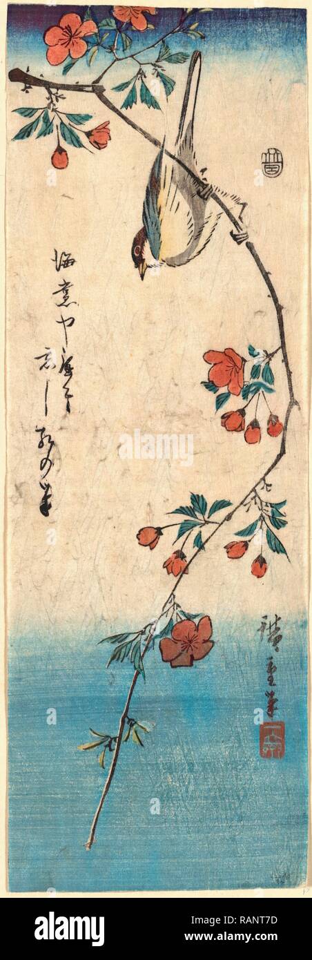 Kaido Ni Shokin, petit oiseau sur une branche de Kaidozakura. [Entre 1844 et 1848], 1 : Impression gravure sur bois, couleur, 33,5 X 11,2 repensé Banque D'Images