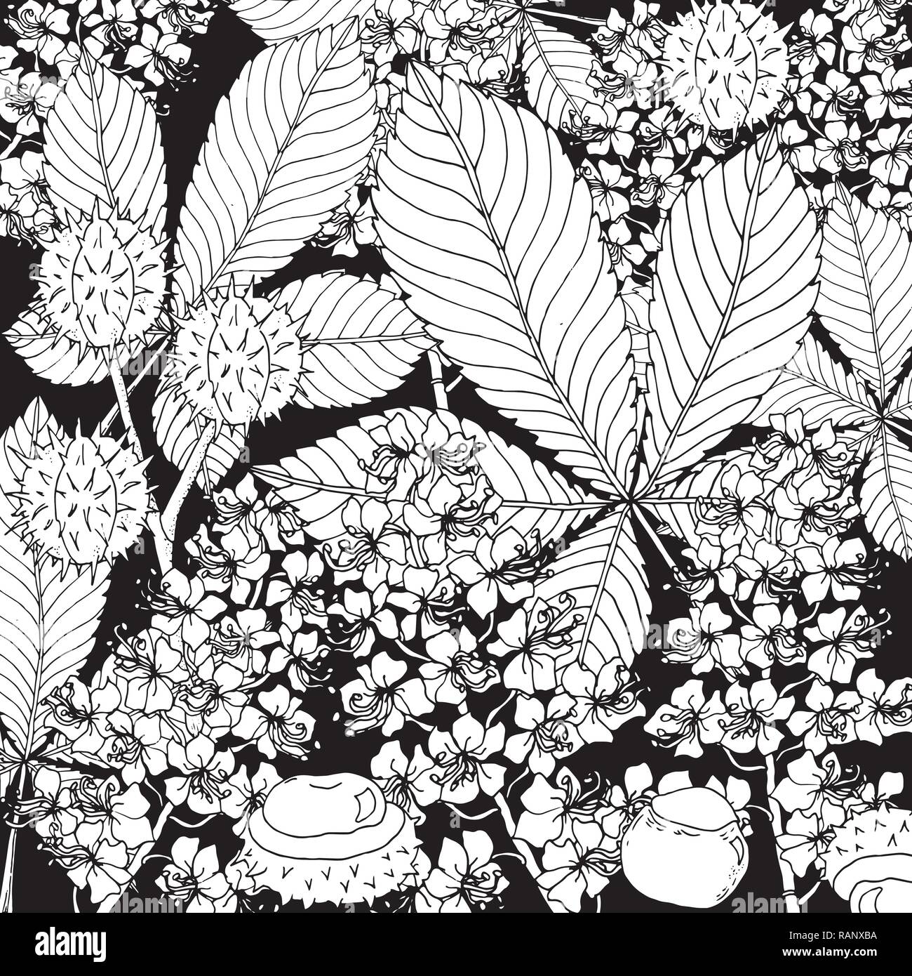 Contexte en châtaignier floral doodle avec vecteur doodles noir et blanc à colorier. Motif ethnique vecteur peut être utilisé pour le papier peint, trames Illustration de Vecteur