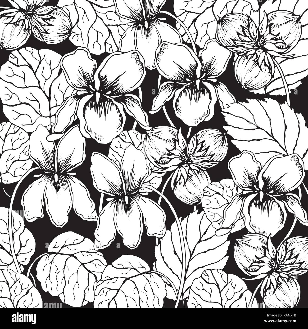 Dans l'arrière-plan violet floral doodle avec vecteur doodles coloriage noir et blanc Illustration de Vecteur