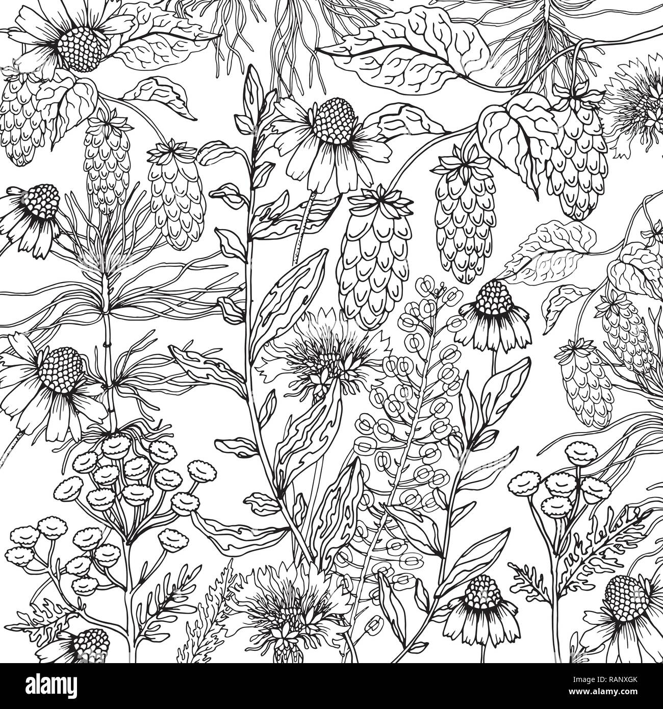 Camomille fleurs doodle en arrière-plan avec vecteur doodles coloriage noir et blanc Illustration de Vecteur