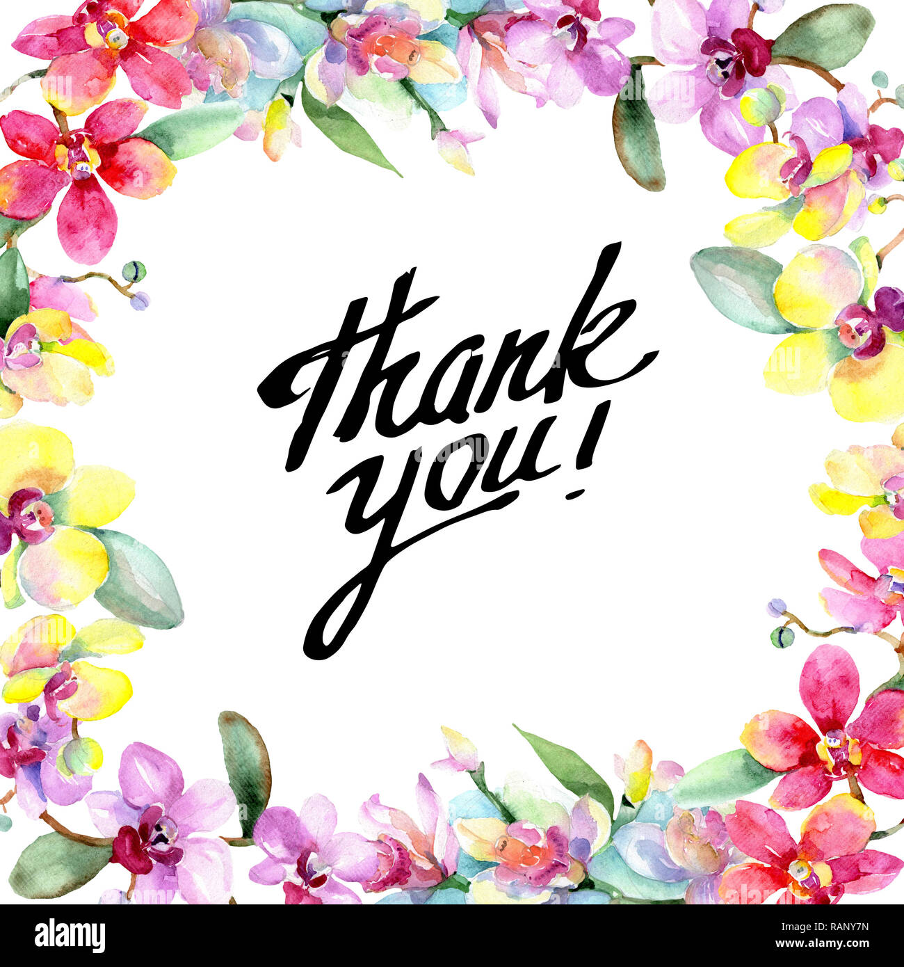 Floral fleur orchidée botanique. Lame de ressort sauvages isolés de fleurs sauvages. Contexte aquarelle illustration set. Dessin aquarelle aquarelle est la mode Banque D'Images