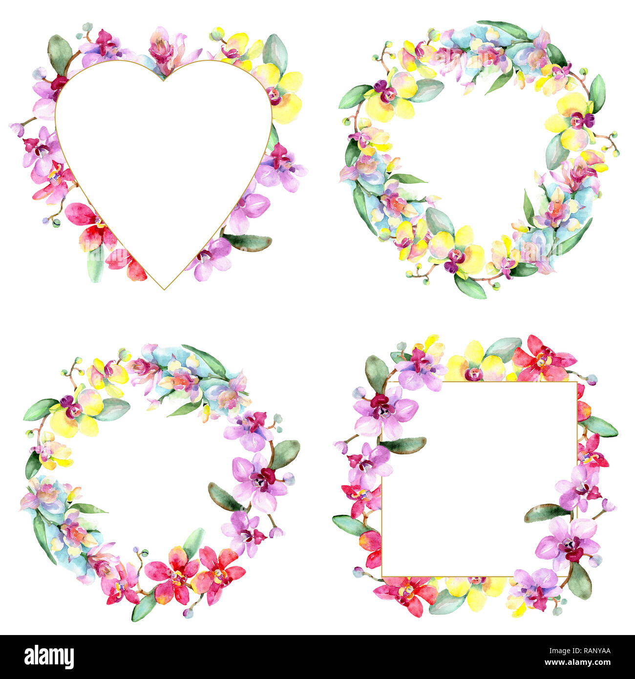 Floral fleur orchidée botanique. Lame de ressort sauvages isolés de fleurs sauvages. Contexte aquarelle illustration set. Dessin aquarelle aquarelle est la mode Banque D'Images