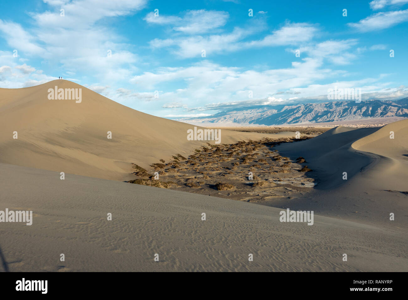 Vent de sable sculpté pour former l'intrigante Mesquite Sand Dunes, Death Valley National Park, Californie Banque D'Images