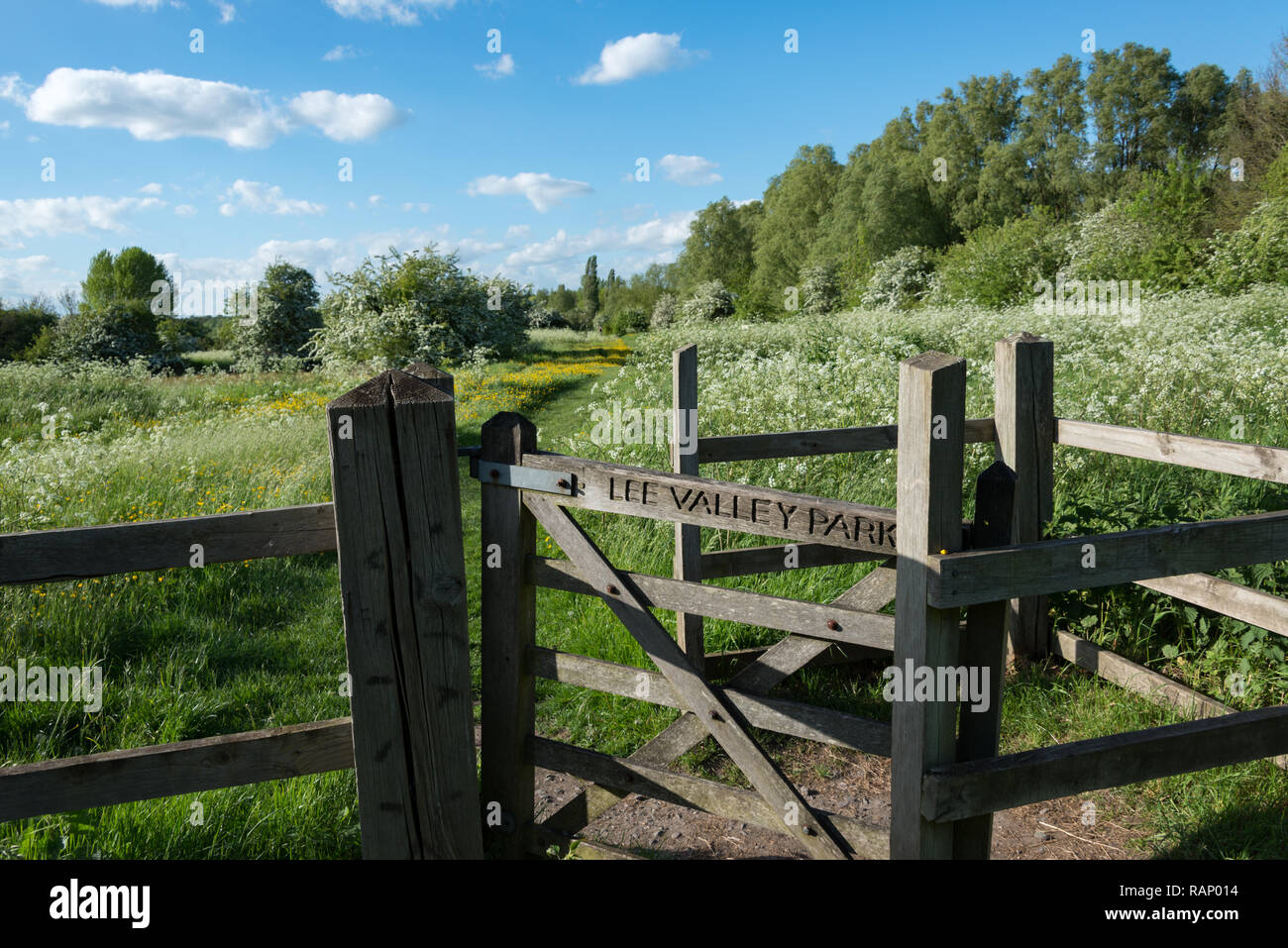 Cornmill Meadow dans l'abbaye de Waltham, partie du parc Lee Valley sur la frontière Essex/Hertfordshire dans le sud de l'Angleterre, au Royaume-Uni Banque D'Images