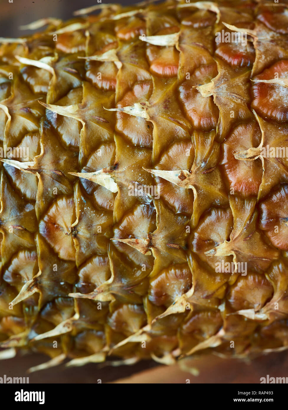 Close - up de fruits ananas montrant mouchetures motif peau morte photographie alimentaire Banque D'Images