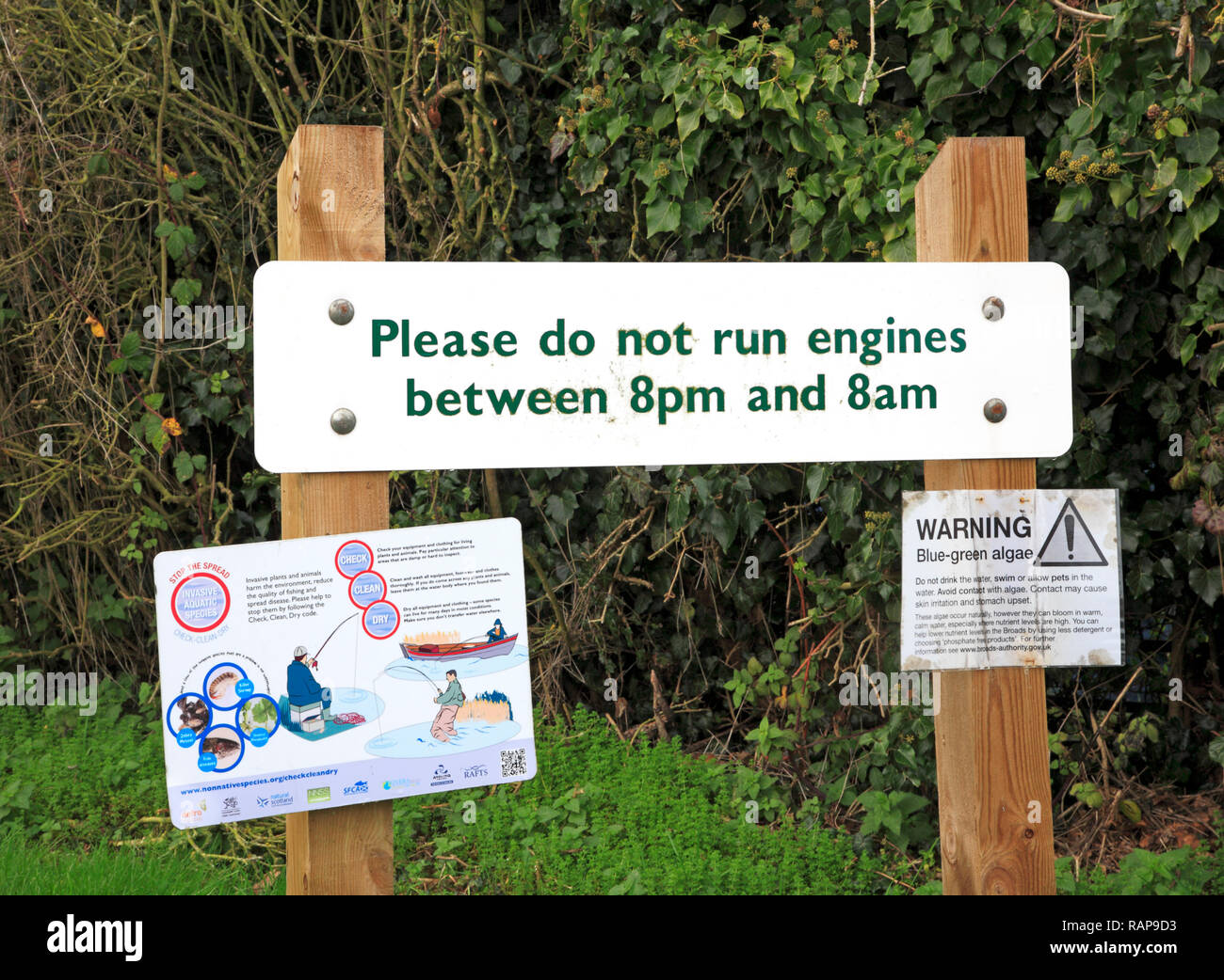 Avis importants par points d'amarrage sur les Norfolk Broads au staithe à Irstead, Norfolk, Angleterre, Royaume-Uni, Europe. Banque D'Images