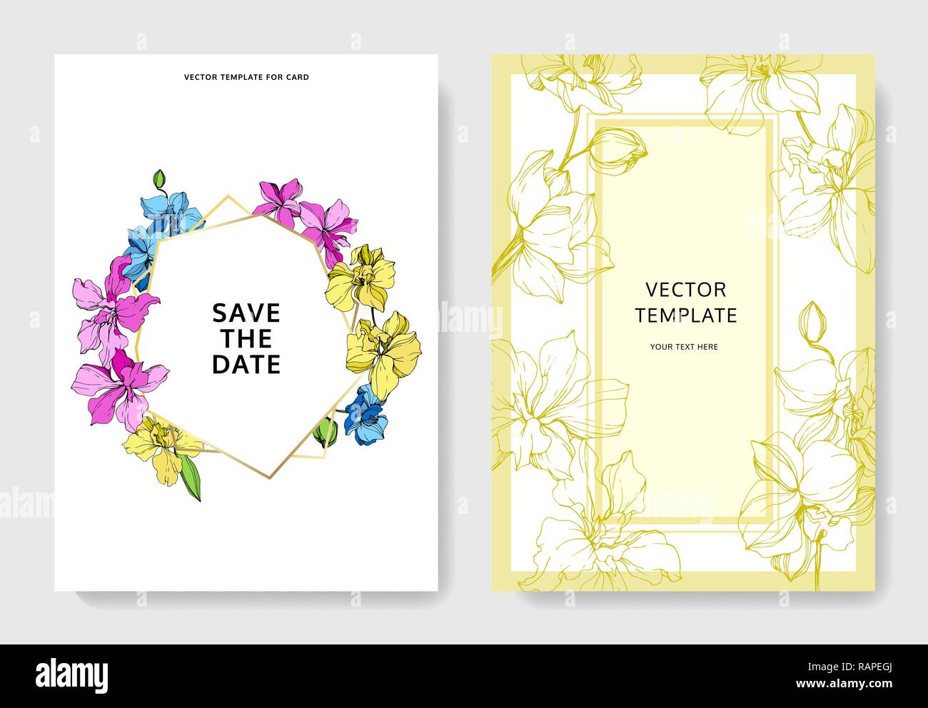 Vector Jaune Rose Et Bleu Orchid Floral Fond Carte Mariage Vecteur Bordure Decorative Save The Date Invitation Carte Elegante Graphi Illustration Image Vectorielle Stock Alamy