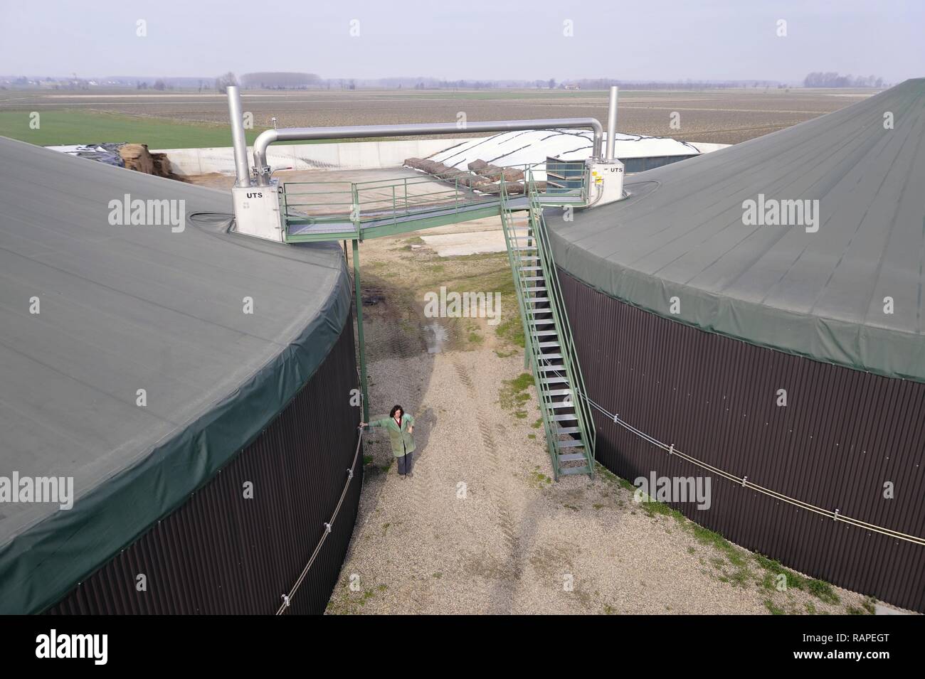 Gambarana (Pavie, Italie) l'usine de production d'électricité à partir de biomasse au "château" ferme. Banque D'Images