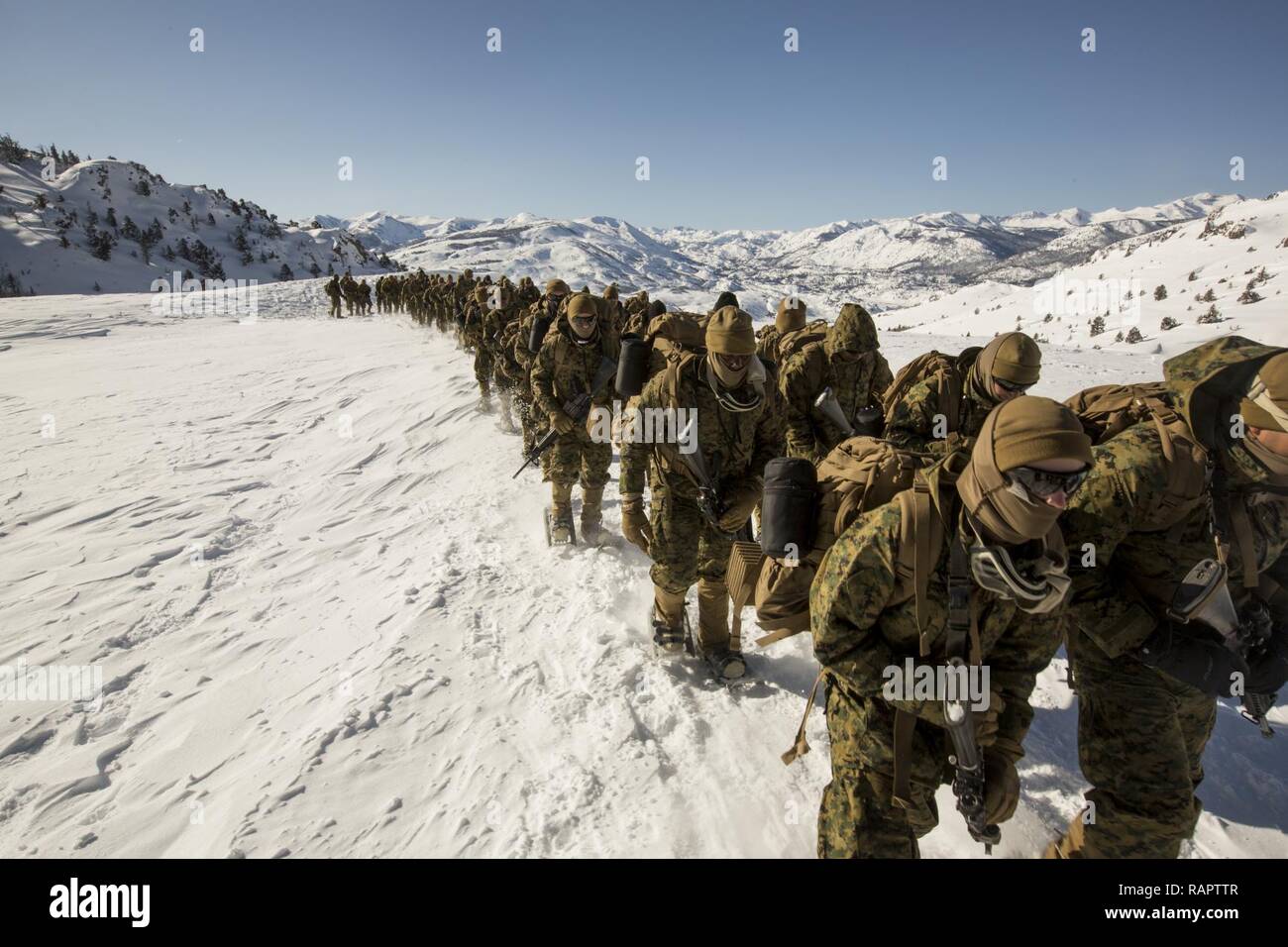 Les Marines Américains Avec Le Siège Et Service Company 1er