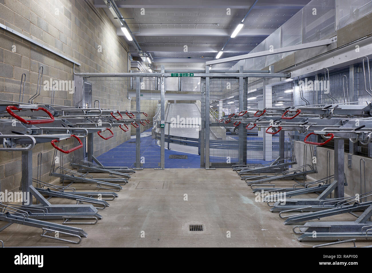 Sous-sol porte-vélos. Le porteur des capacités, Slough, Royaume-Uni. Architecte : T P Bennett, 2017. Banque D'Images