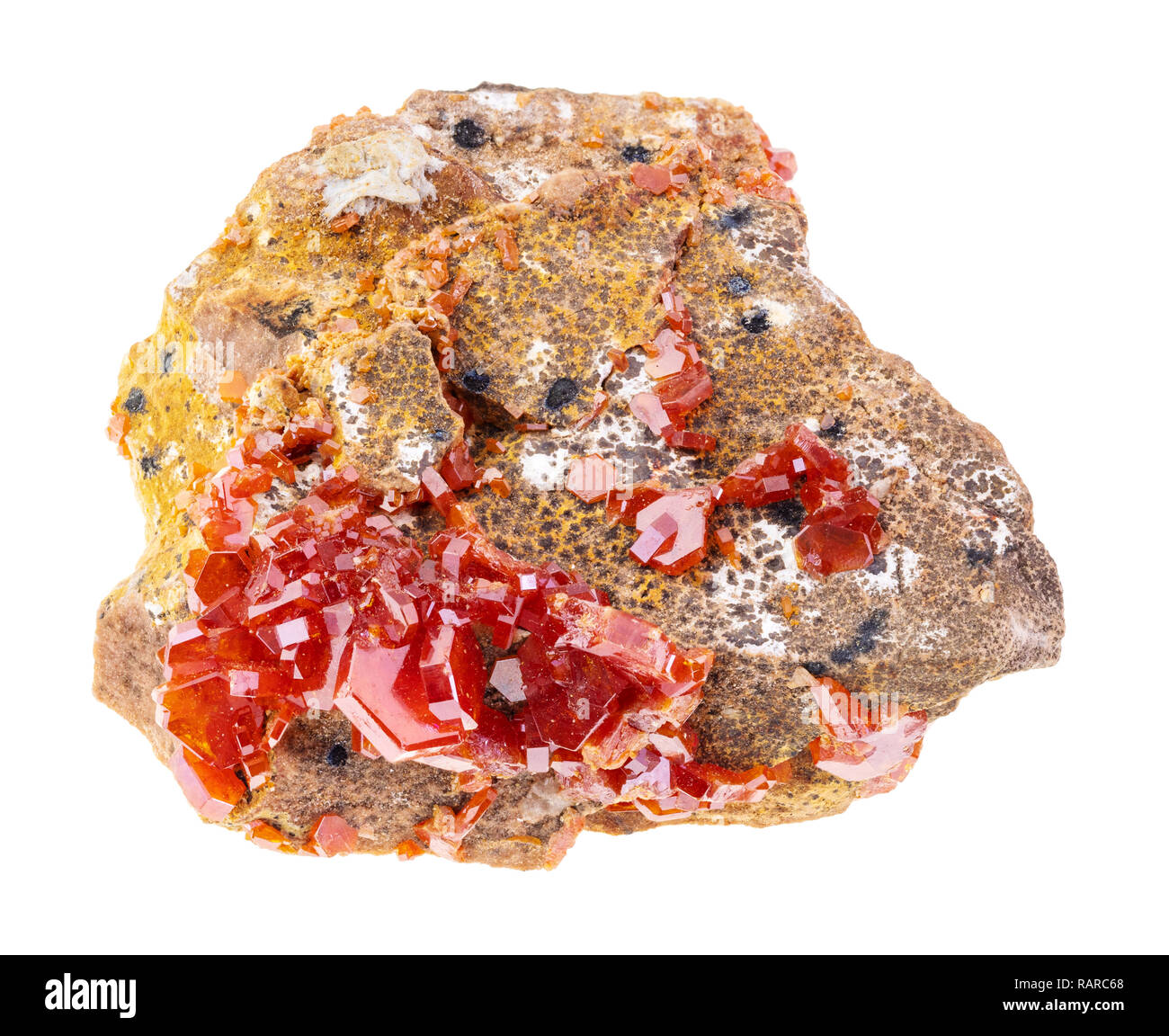 La macro photographie de minéraux naturels à partir de la collection géologique - La Vanadinite cristaux sur pierre brute (minerai de vanadium) sur fond blanc Banque D'Images