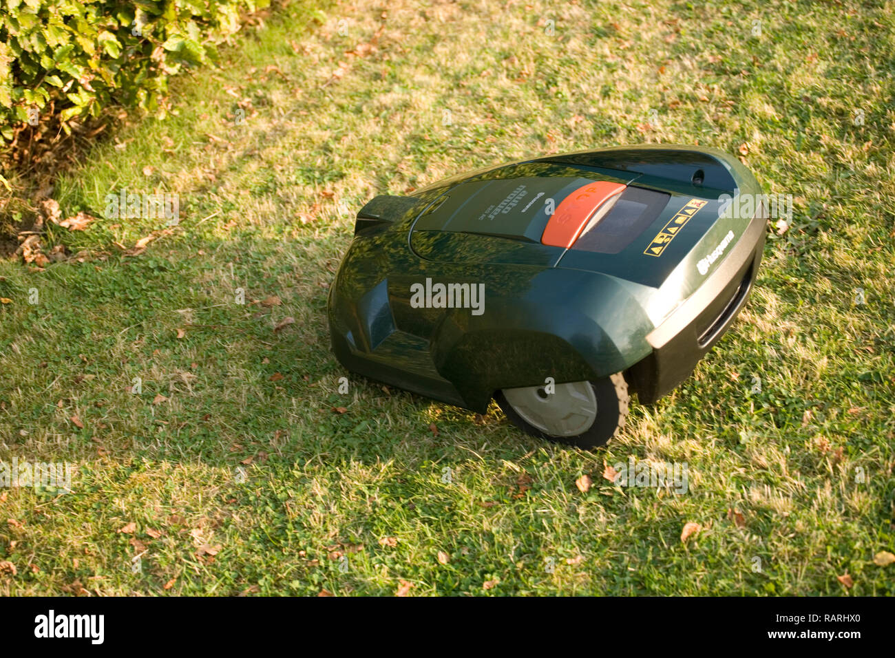 Tondeuse robot automatique coupé de l'herbe et se dirigeant vers une haie Banque D'Images