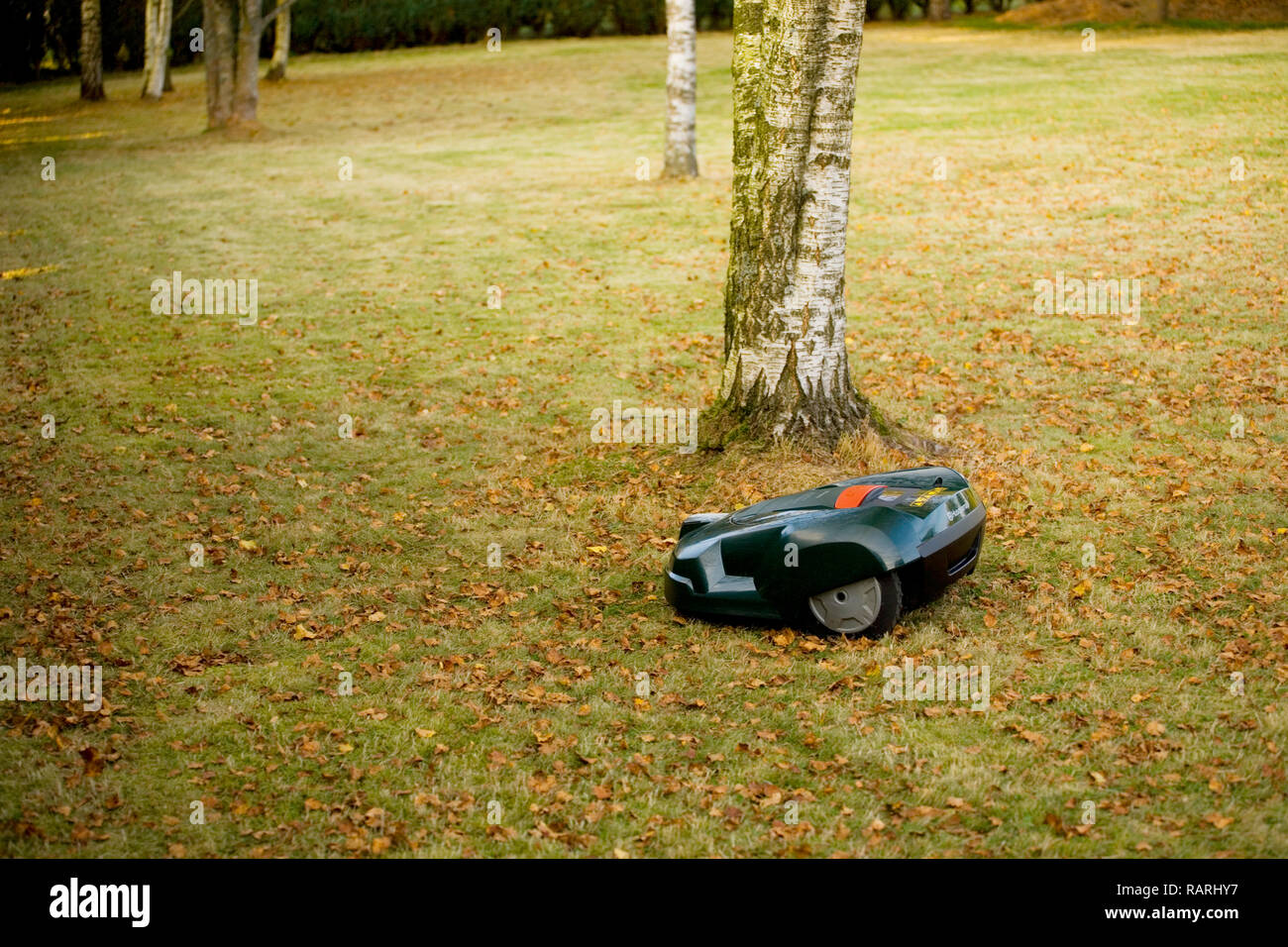 Tondeuse robot automatique coupé de l'herbe près des arbres et les feuilles d'automne Banque D'Images