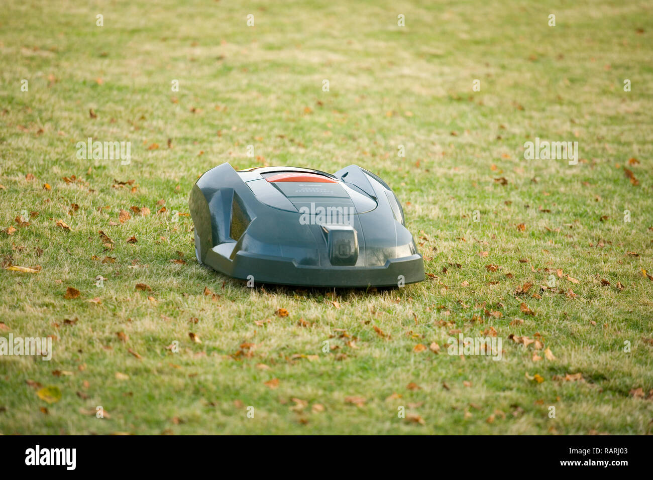 Tondeuse robot automatique coupé de l'herbe et se dirigeant vers l'appareil photo Banque D'Images