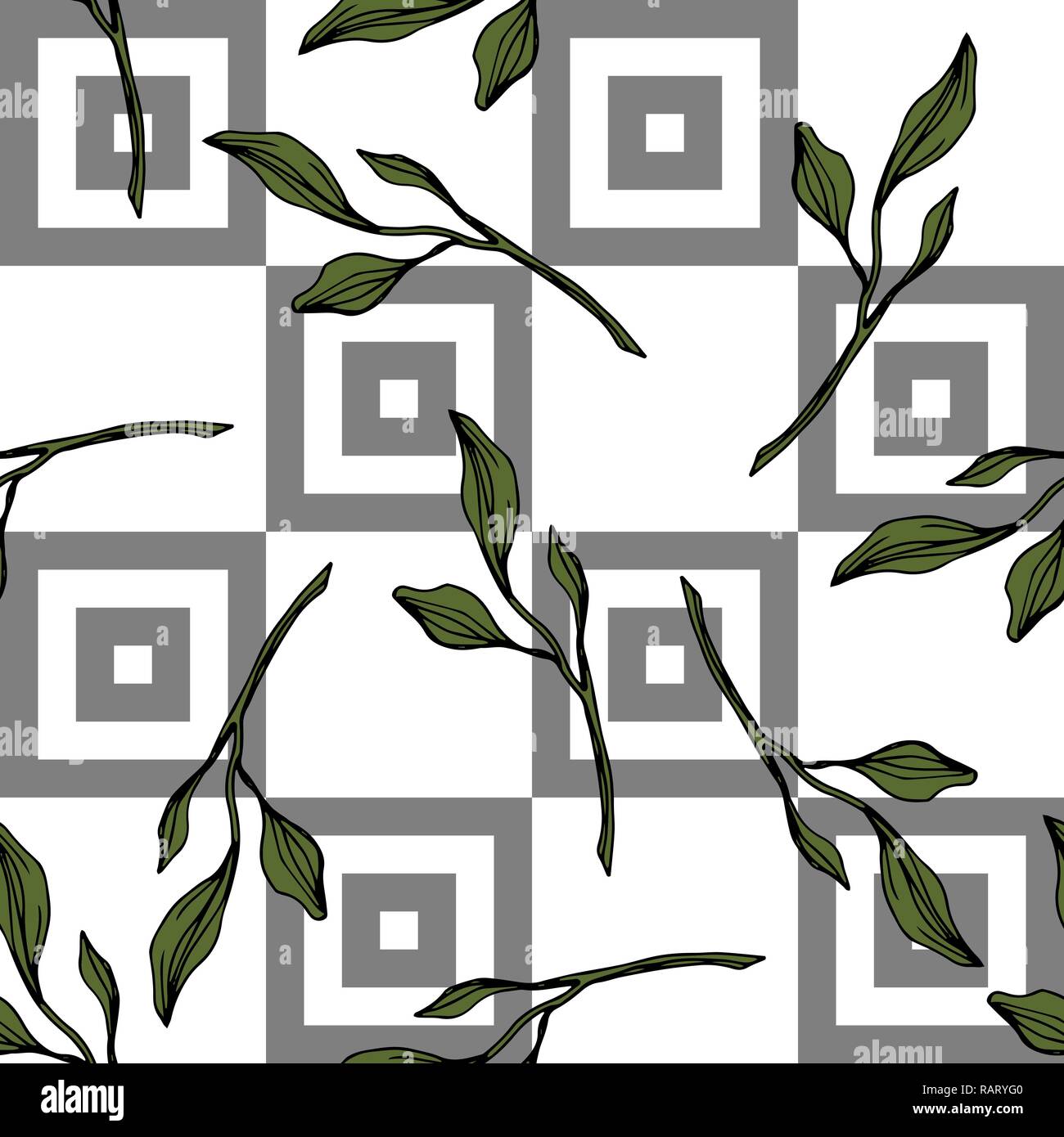 Vecteur. Jardin botanique de plantes à feuilles vert feuillage floral. L'art d'encre gravée motif transparent sur fond blanc. Papier peint texture tissu d'impression. Illustration de Vecteur