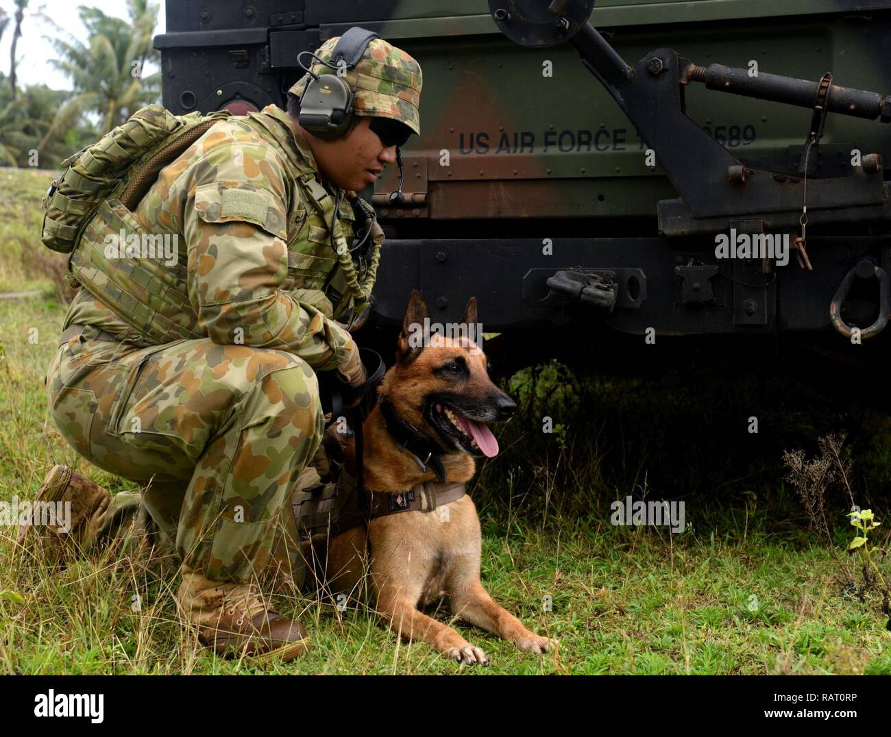 La Royal Australian Air Force chien travaille avec son chien au cours d'un exercice à faire face au nord, le 13 février 2017, à la base aérienne d'Andersen, Guam. Cet exercice aide à cultiver des liens communs et favoriser la bonne volonté entre les États-Unis et la communauté internationale par le biais de la formation. Banque D'Images