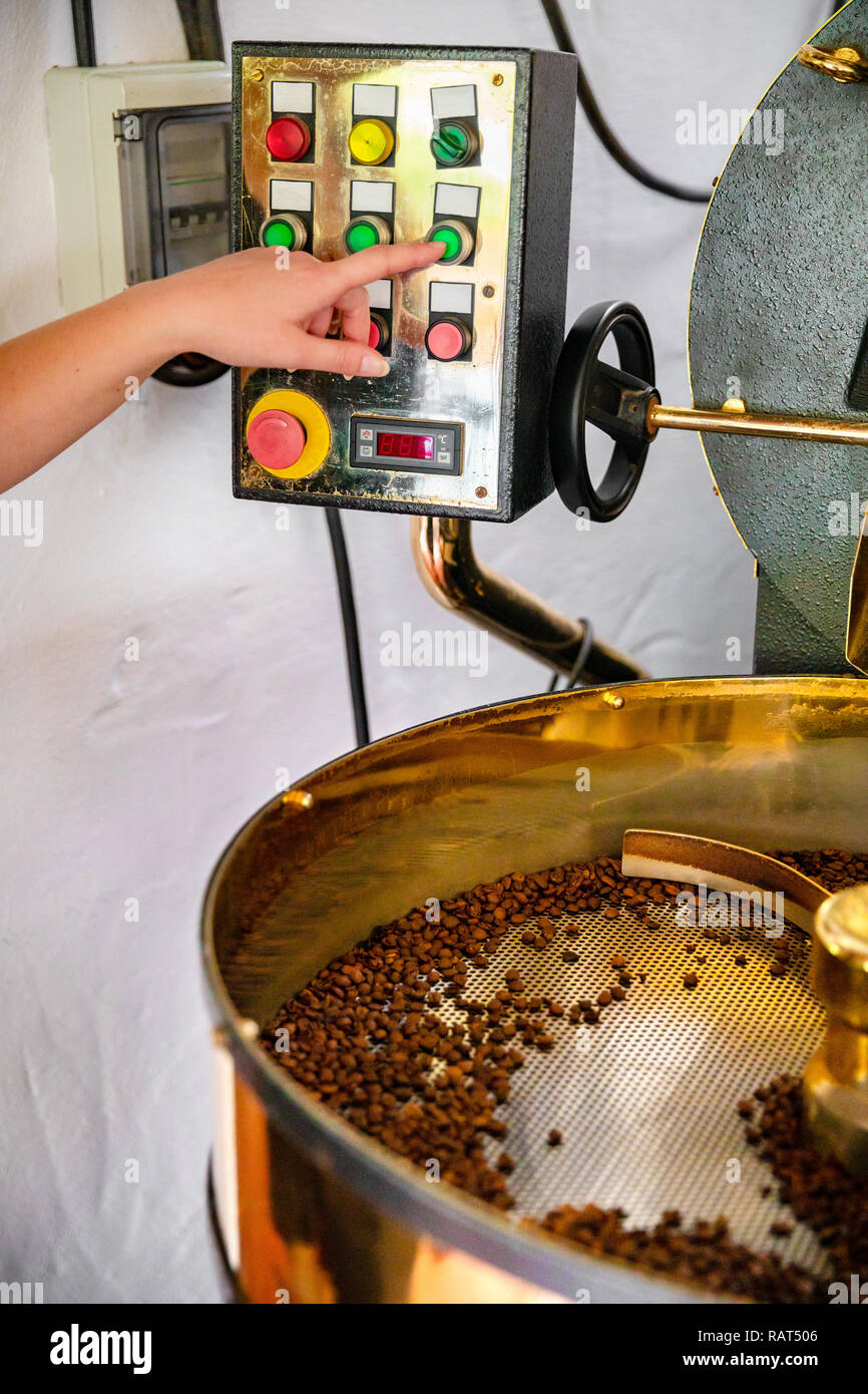 Poignées de sexe féminin dans la production de café biologique de grillage Banque D'Images