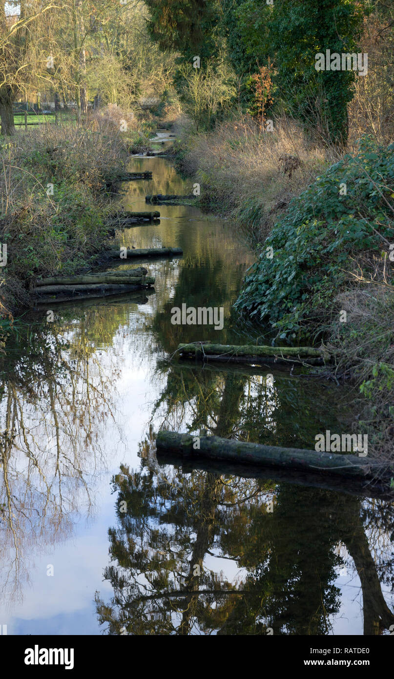 Gestion de la pêche ruisseau à truite Cambridgeshire Banque D'Images