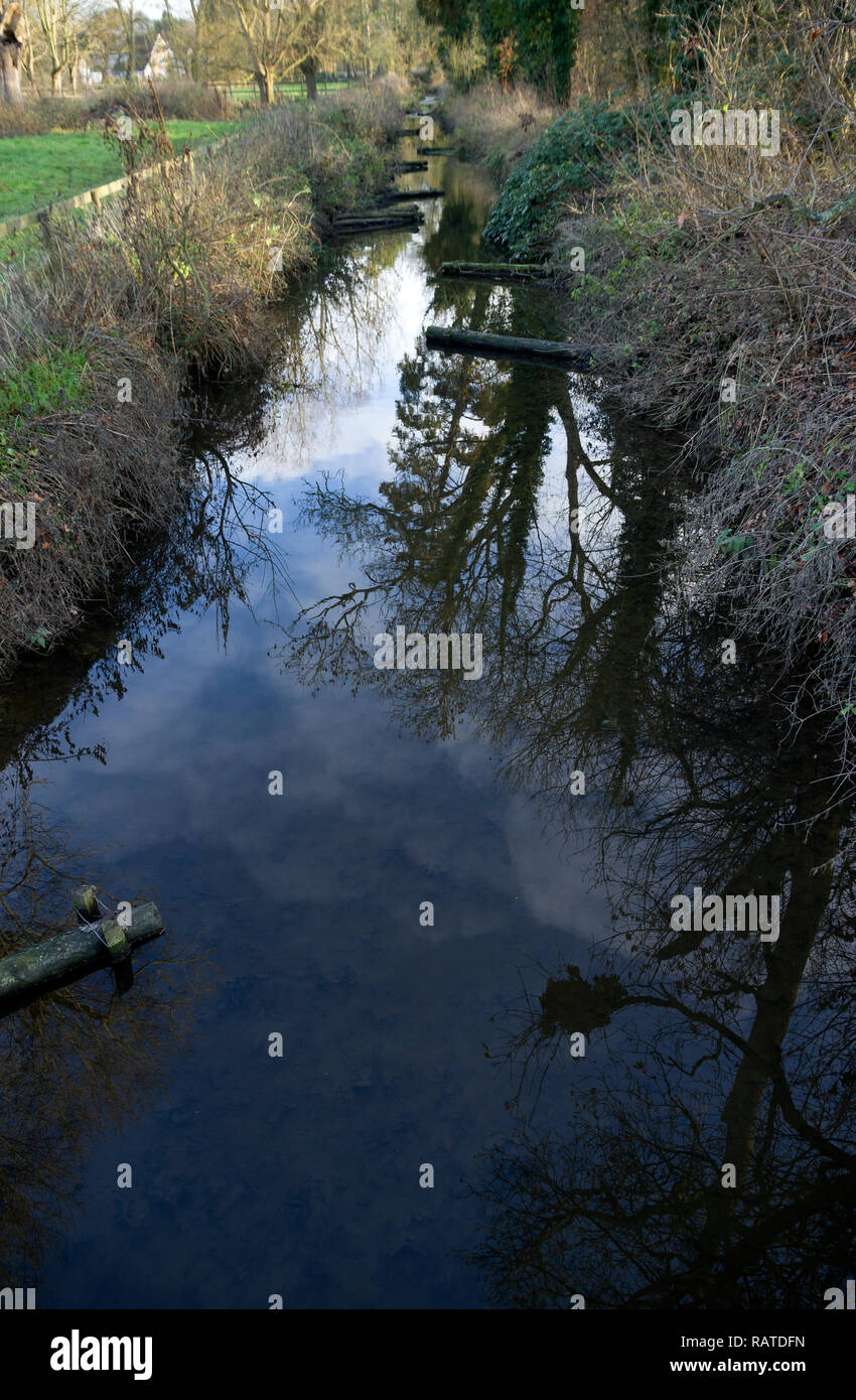 Gestion de la pêche ruisseau à truite Cambridgeshire Banque D'Images