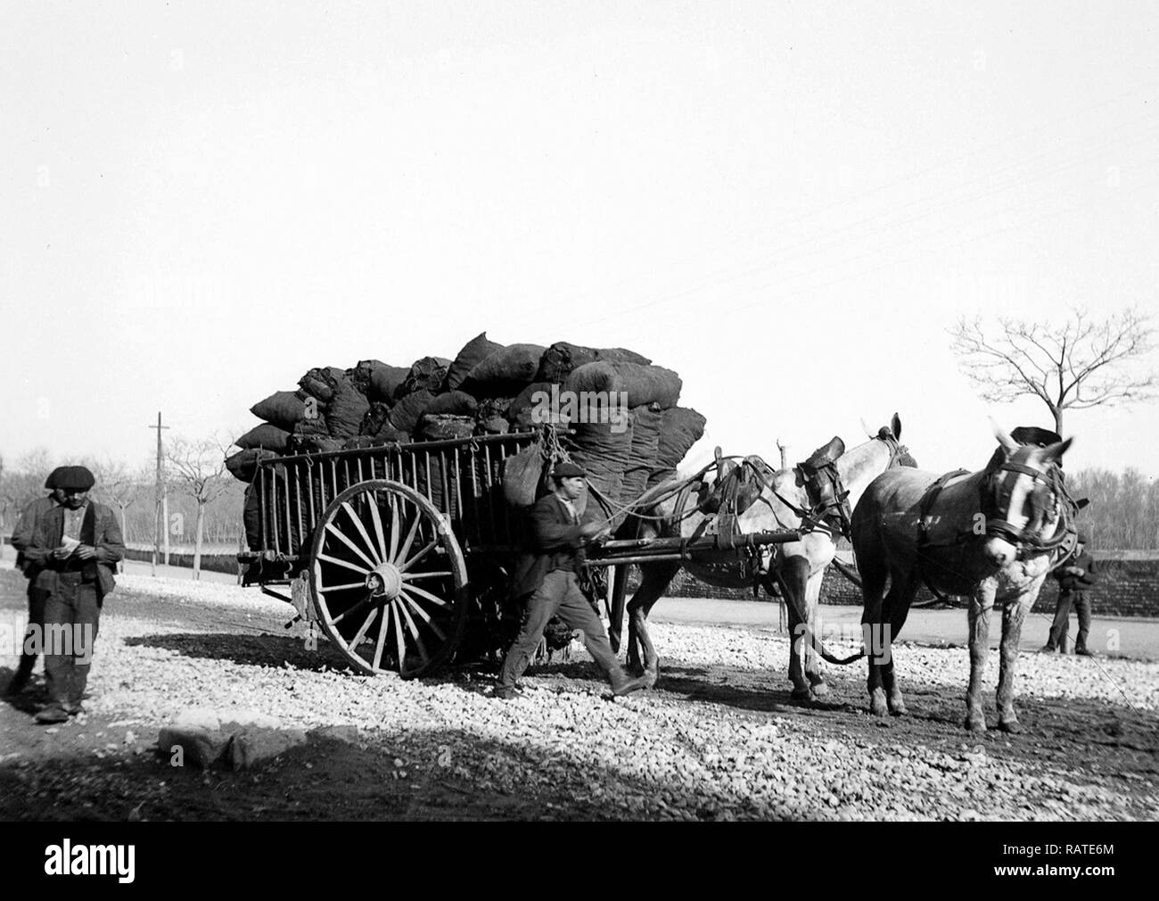 Livreur de charbon avec cheval et panier dans Asrurias dans le Nord de l'Espagne 1905 Banque D'Images