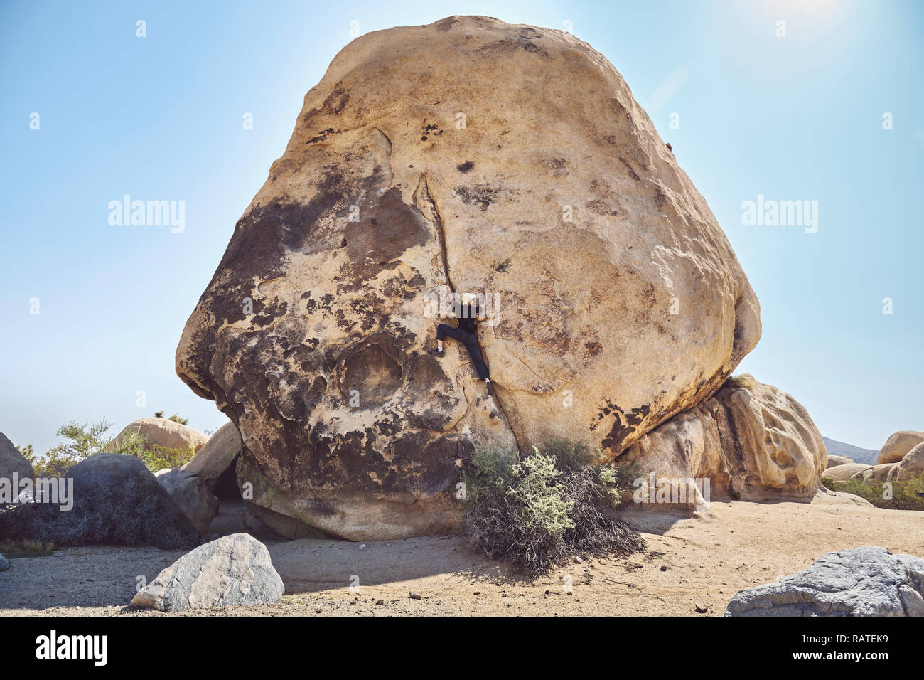 Femme monte big Boulder dans le solo de Joshua Tree National Park, harmonisation des couleurs appliquées, en Californie, aux États-Unis. Banque D'Images