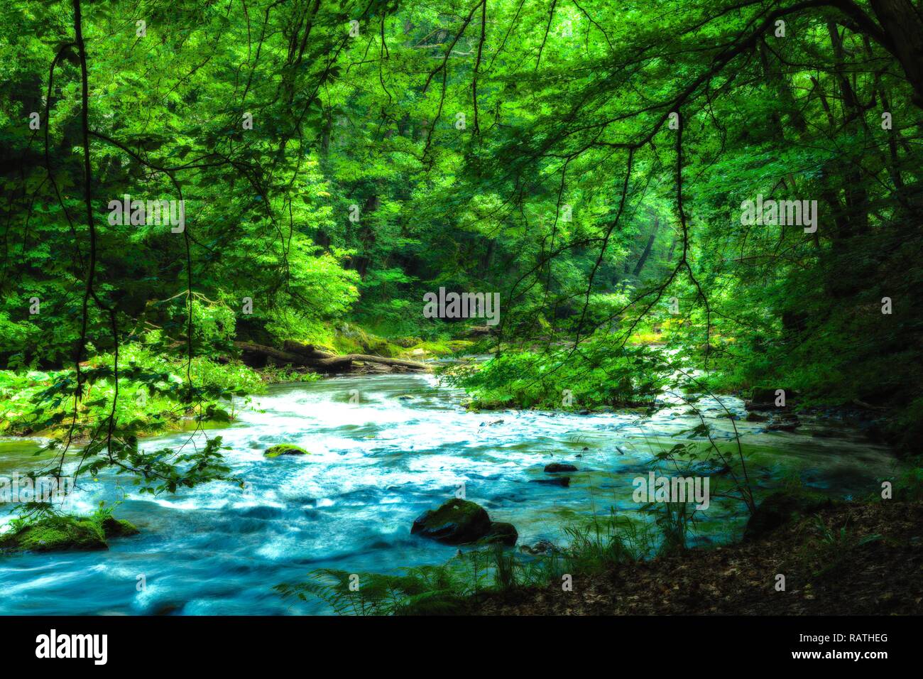 L'eau sauvage turquoise entourée de lit de la rivière et de la forêt verte Banque D'Images