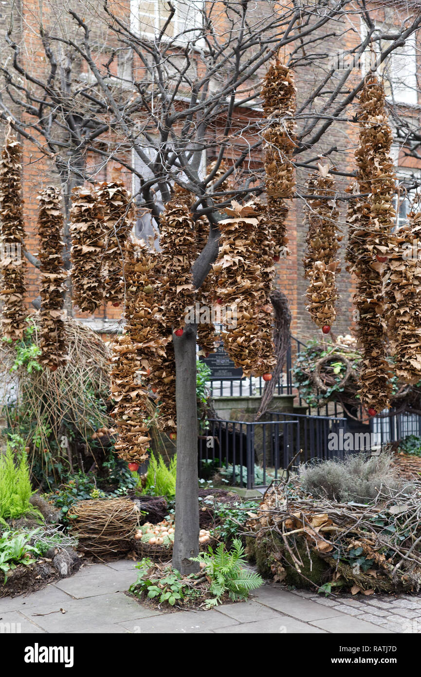 Les feuilles mortes et les pommes tree Banque D'Images