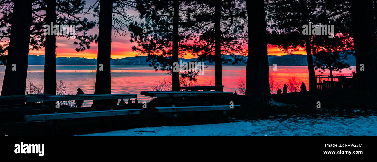 Les personnes bénéficiant d'un incroyable coucher du soleil sur la rive du lac Tahoe ; pins silhouettes au premier plan, en Californie Banque D'Images