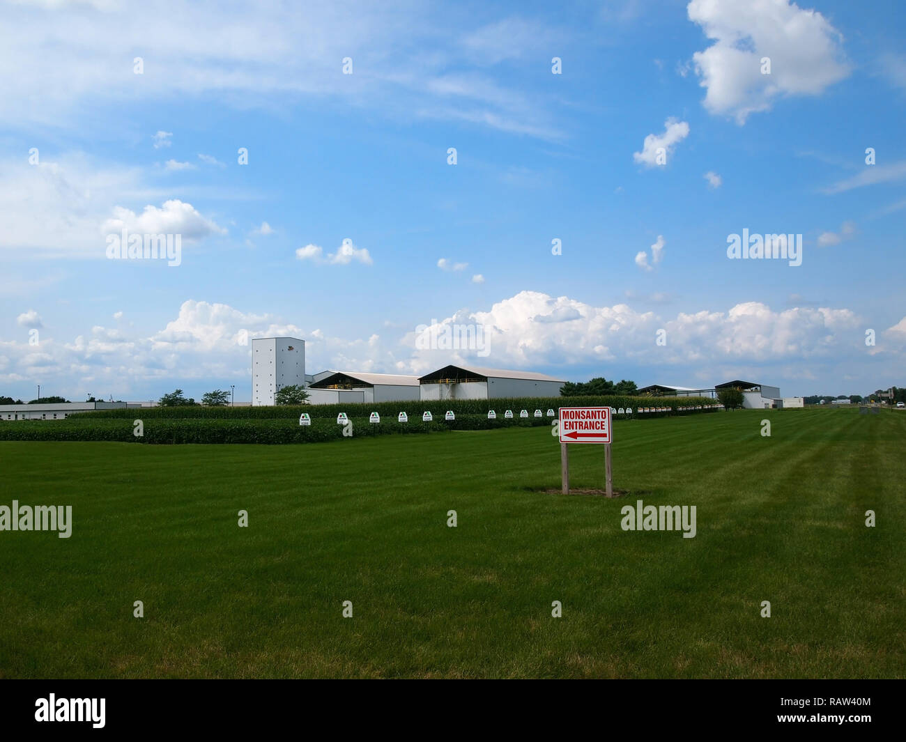 CONSTANTINE, MI - Juillet 29, 2018 : un champ de maïs et l'herbe verte sous un ciel bleu avec des nuages à un faciility Monsanto à Constantine, au Michigan Banque D'Images