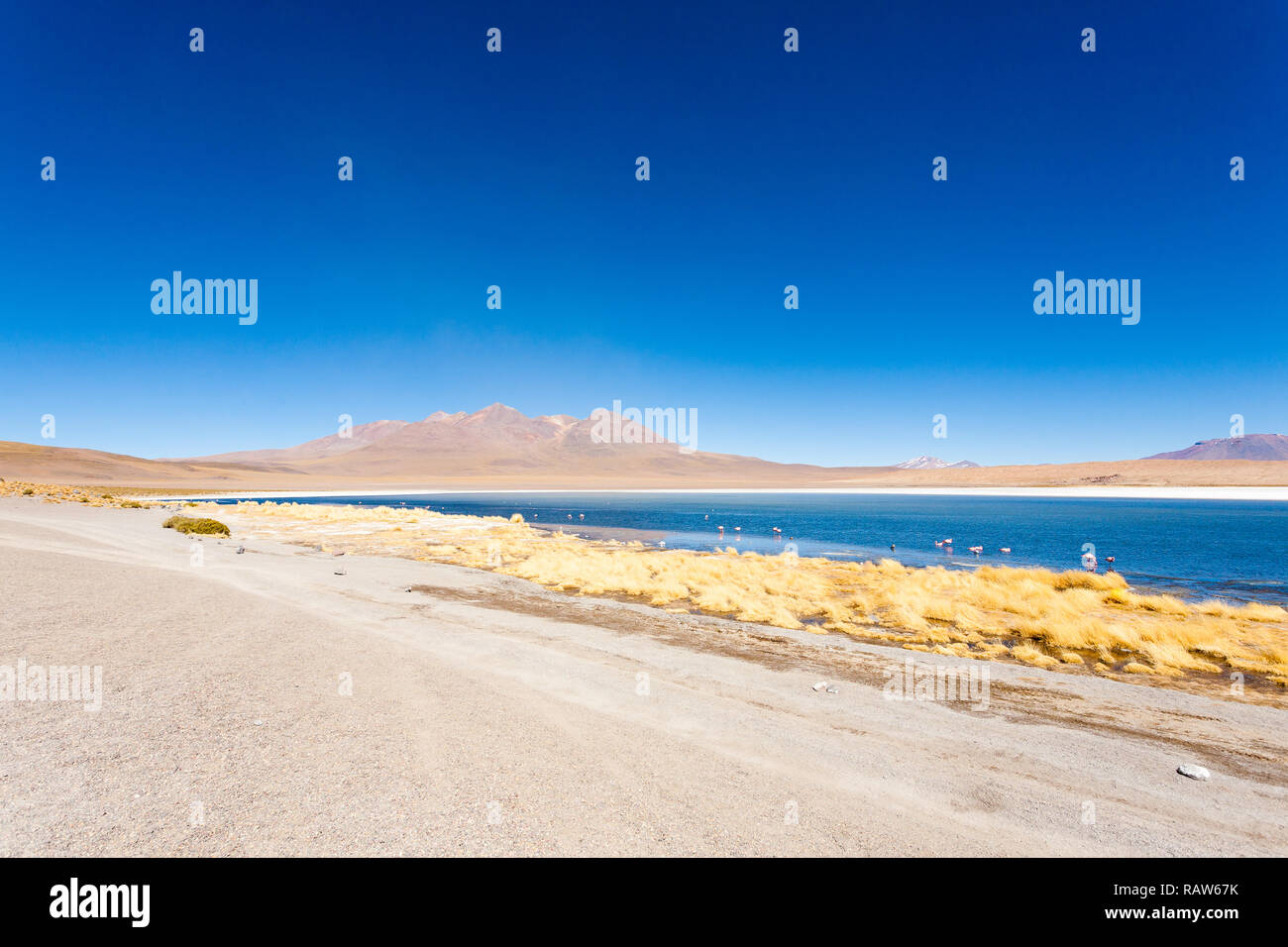 Laguna Canapa aménage, la Bolivie. Beau panorama de la Bolivie. L'eau bleu lagon Banque D'Images