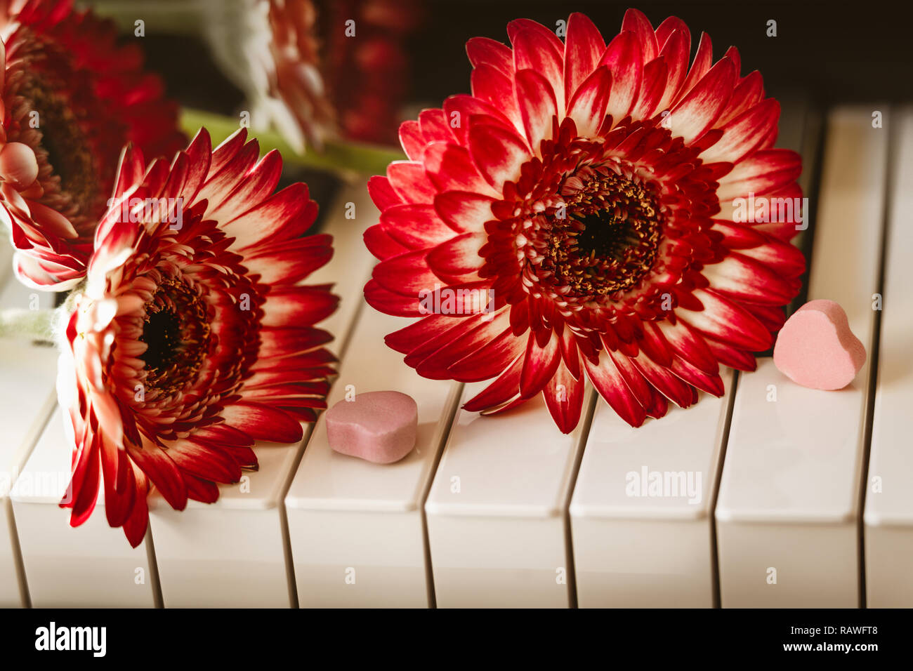 Belles fleurs rouge sur un clavier de piano Photo Stock - Alamy