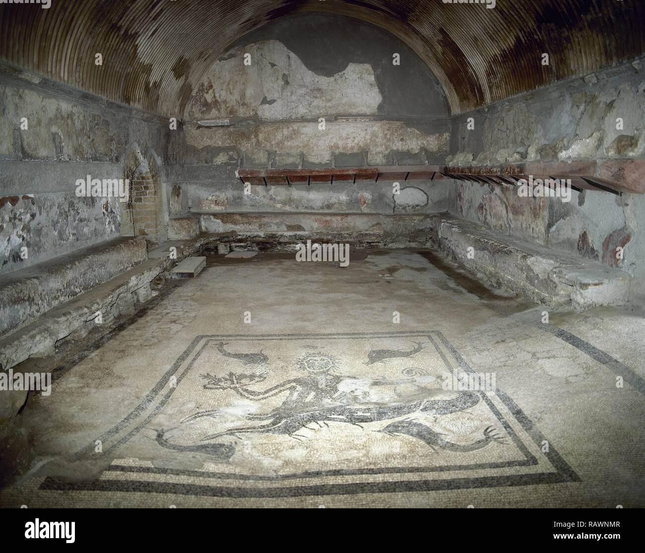 L'Italie. D'Herculanum. Thermae centrale (ca. début du 1er siècle après JC). Les bains d'hommes. Le tepidarium a un plafond voûté décoré de stuc. Elle était chauffée au moyen d'air chaud sous le sol et dans les conduits dans le mur. L'étage dispose d'une mosaïque représentant un triton entourés par des dauphins. Banque D'Images