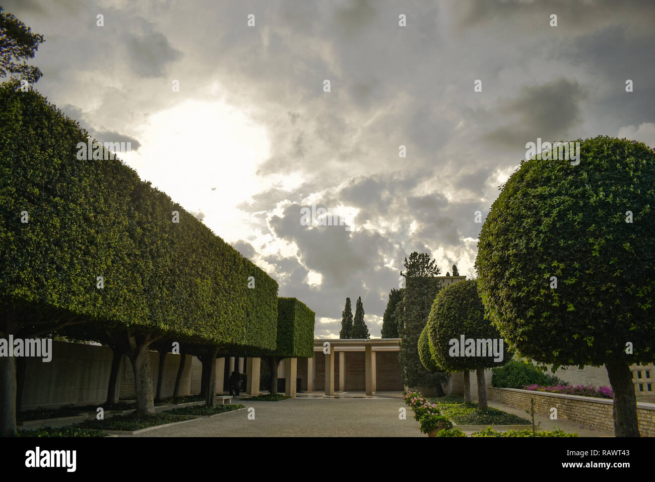 Composition par conception dans la nature Banque D'Images