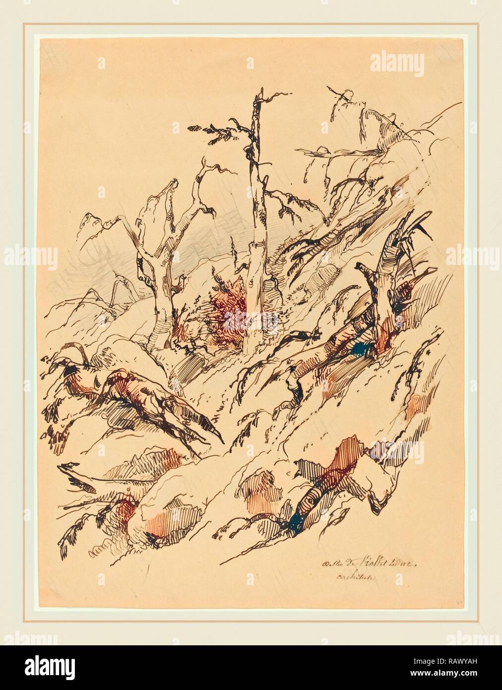 Adolphe Etienne Viollet-Le-Duc II, français (1817-1878), un arbre et  rochers, la plume et l'encre de noix de galle,avec graphite sur papier  vélin repensé Photo Stock - Alamy