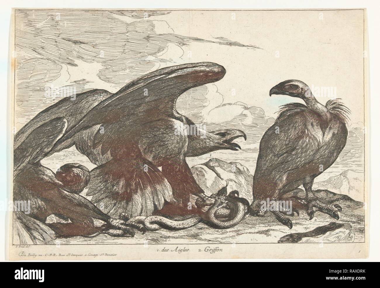 Vautour et un aigle avec snake, imprimer bouilloire : Peeter Boel attribué à, Peeter Boel, De Poilly, 1670 - 1674 repensé Banque D'Images