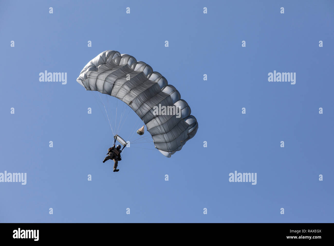 Fonctionnaire de la Police fédérale, une unité spéciale, GSG9, dans un saut en parachute, au cours d'un événement public, Banque D'Images