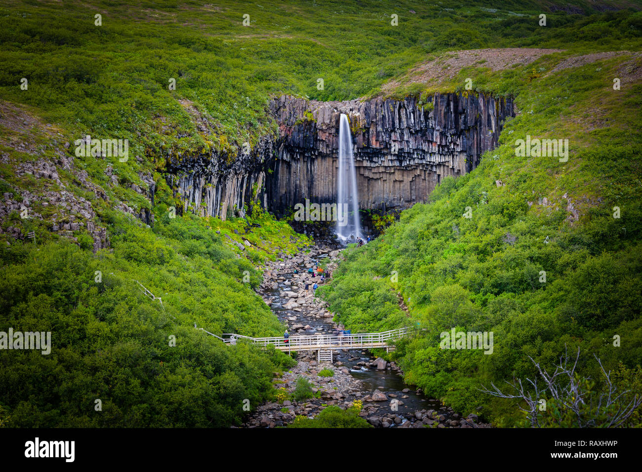 Célèbre cascade Svartifoss. Un autre nommé Black de l'automne. Situé dans le parc national de Skaftafell, Vatnajokull, Islande Banque D'Images