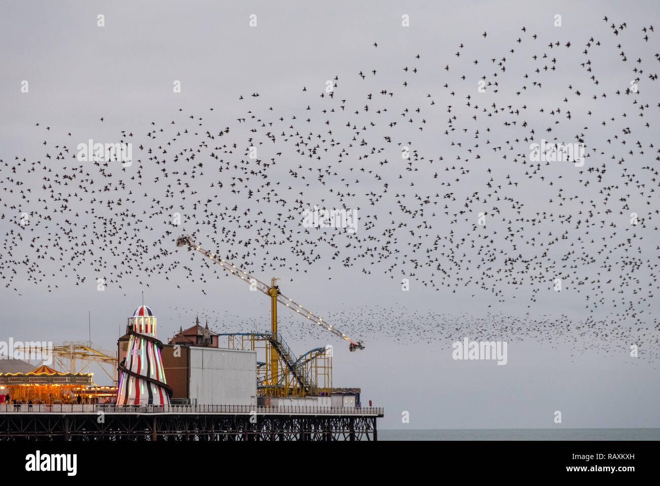 Murmuration d'étourneaux sur Palace Pier, Brighton, Sussex, UK. Photographié par une froide soirée de décembre. Les oiseaux se rassemblent à la tombée de la nuit avant la nidification. Banque D'Images