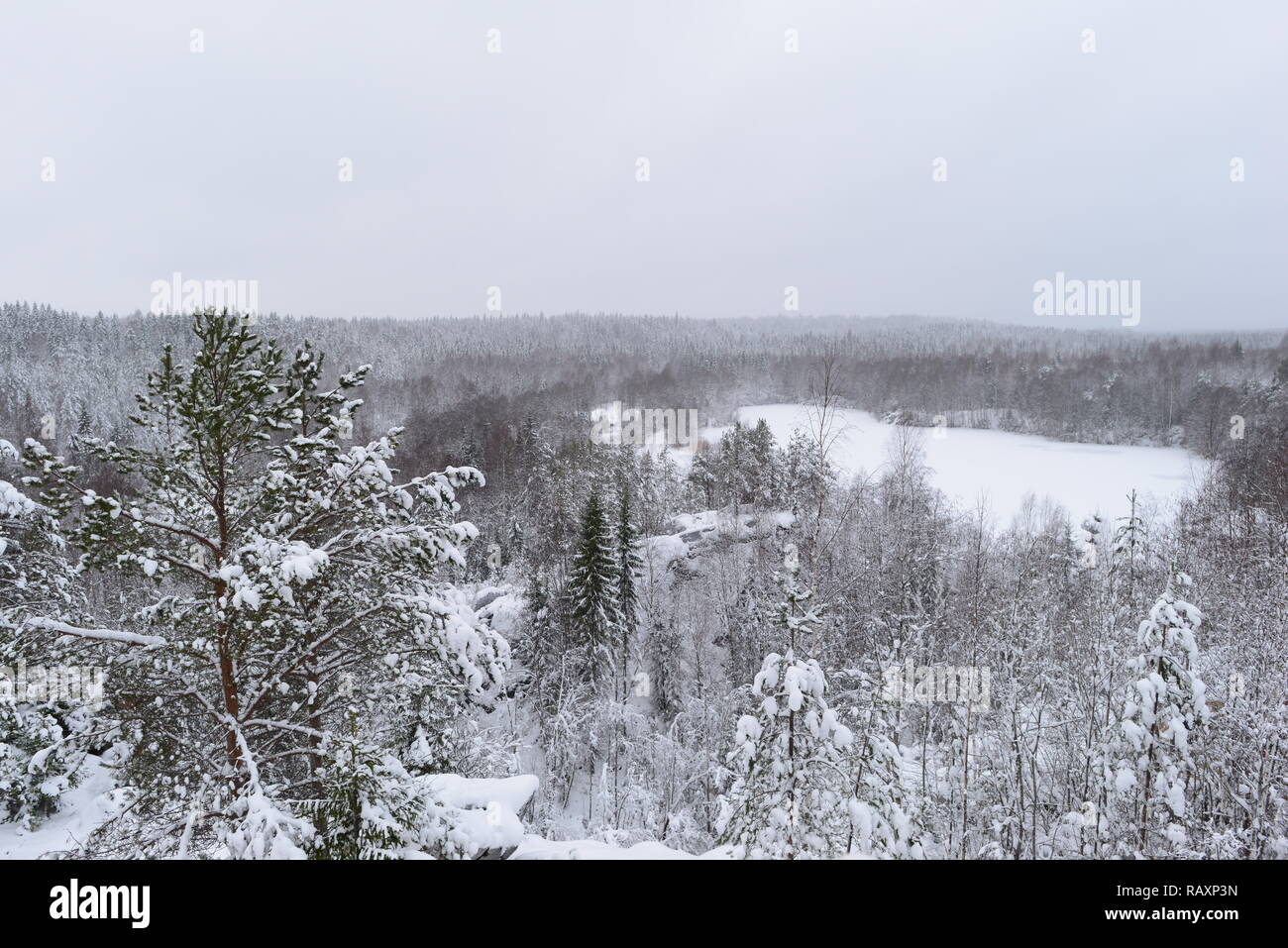 Temps de neige en hiver dans les hautes terres de la forêt et lac gelé dans la neige Banque D'Images